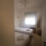 El Palmar -
